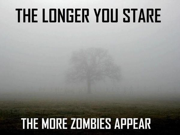 The Zombie Apocalypse just broke out! How you would defend yourself?