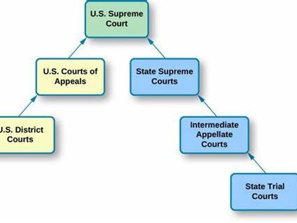 Judging types are always organized and structured.