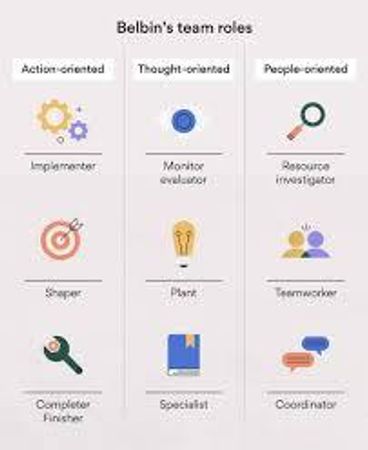 What's your role in a team project?