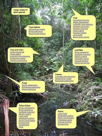 Which habitat appeals to you most?