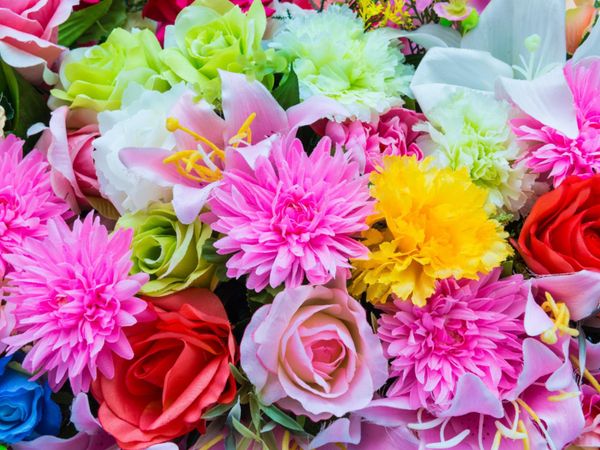 Which of these flowers do you think are prettiest? (google any that you are unfamiliar with)