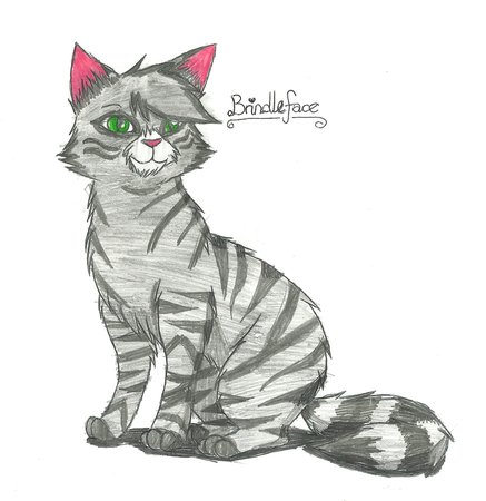 Me: Next? Brindleface: May I go? Me: Of Course! Brindleface: If you broke the warrior code, Who would you tell and why? Me: Wow... Great! Brindleface: Great!