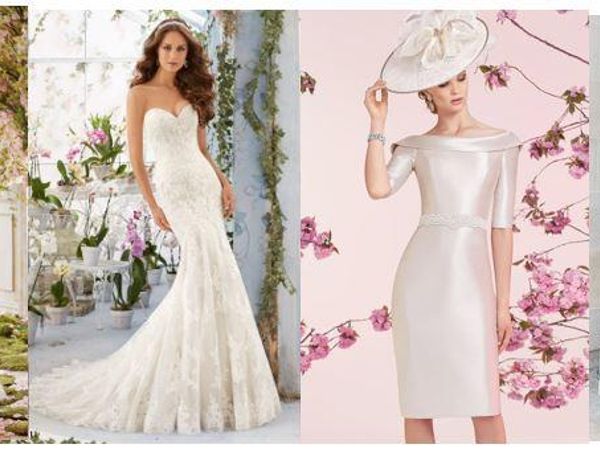 Which wedding dress would you wear?