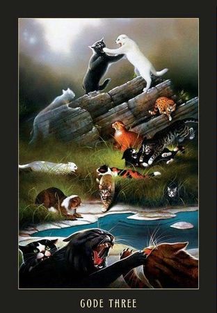 You are ambushed by a Clan once again! What do you do against the RiverClan cats?