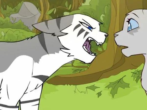 What do you think of warrior cats?