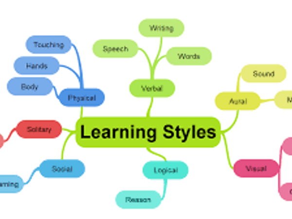 What describes your learning preference?