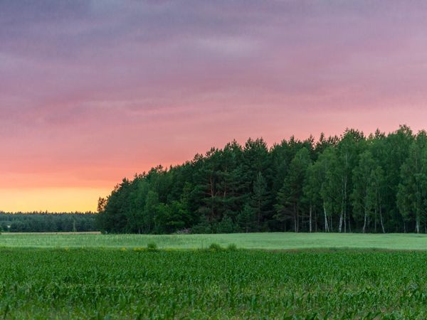 What is your favorite time of day to spend in nature?