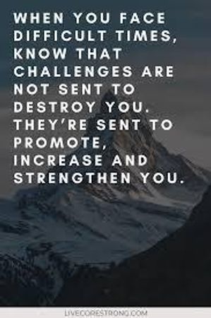 When faced with a challenge, you...