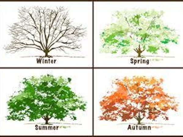 What is your favorite season?