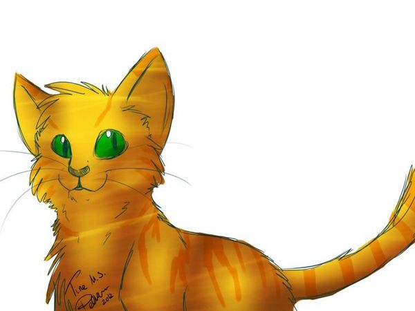 Who was firepaw's first crush?