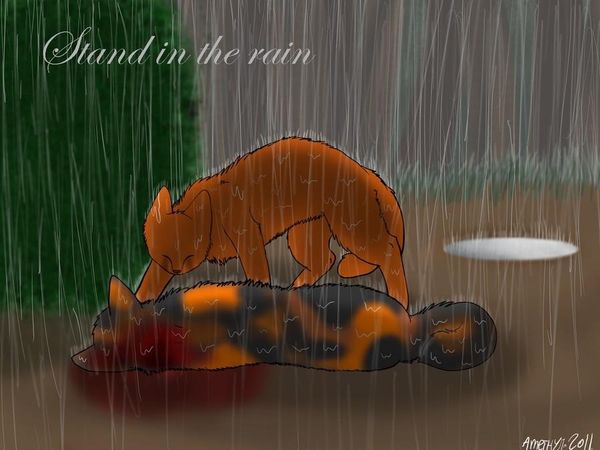 What did firepaw think when Spottedleaf died?