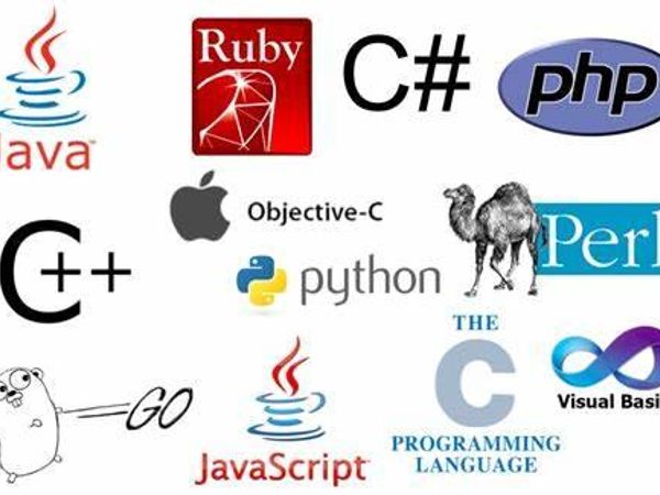 What is your preferred programming language?