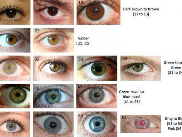 What color are your eyes?