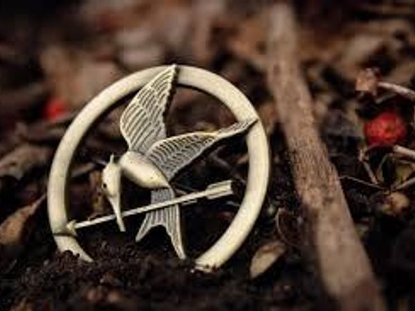 Which Hunger Games character do you identify with? (remember personality, goals, character-not favoritism or appearance)