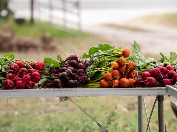 What do you do with the produce from your garden?