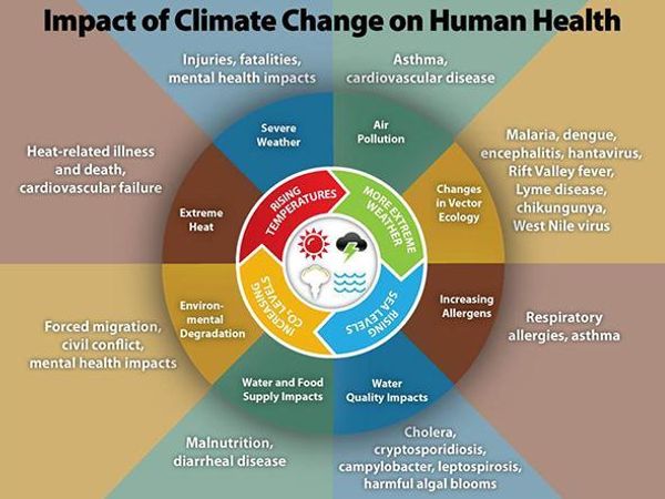 What type of environment makes you feel most at home?