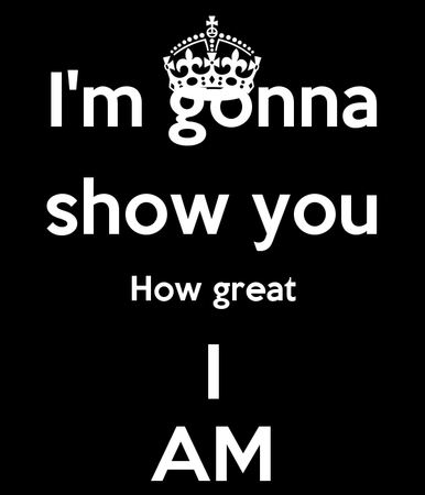 Which of these best sums up how you feel about yourself?