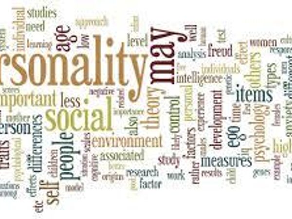 How would YOU describe your personality?