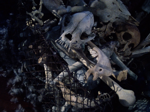 You find yourself trapped in a room with a bunch of skeletons and skulls. What do you do?