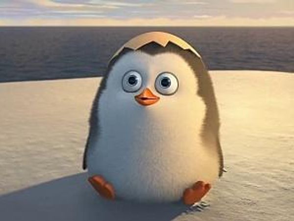 Which penguin do you think you are most like?