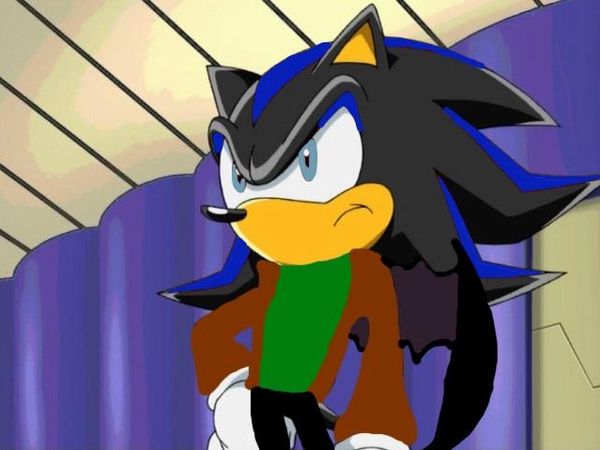 You see a male hedgebat flying at your window. "Are you ___?" He asked looking at you. You nodded seeing Alexis who didn't have her wings. "I am Shaden, Shaden the Hedgebat."