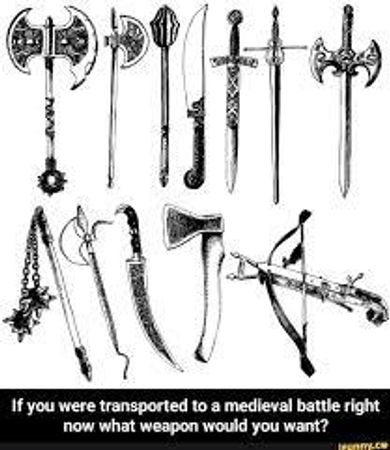 Choose a weapon for battle.