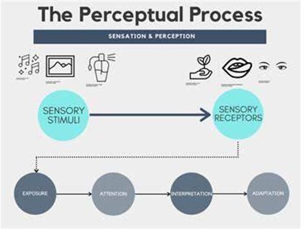 Perceiving types are always spontaneous and flexible.