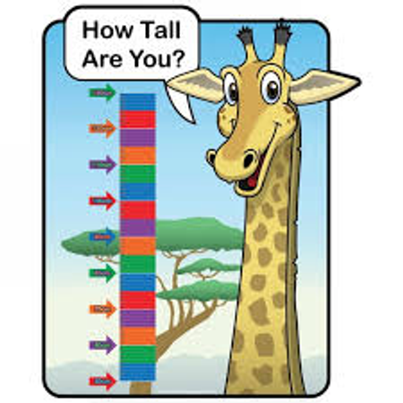 How tall are you?