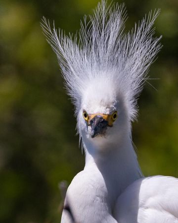 When having a bad hair day, what's your go-to style?