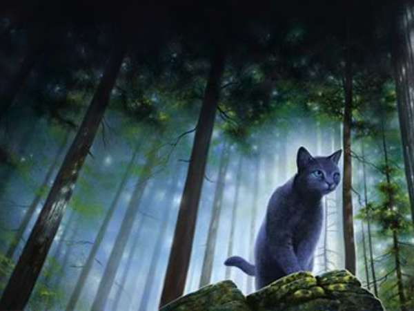 If you had the opportunity to meet Erin Hunter in person would you do it?