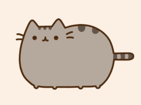 Pusheen Cat: Are you fluffy?