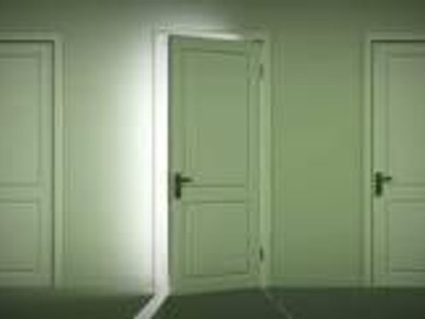 You are in a corridor which has 3 doors. The first door has no lighting at all and is pitch black, the second door has fog spilling out of it, and the third door has bright lighting. which door do you choose?