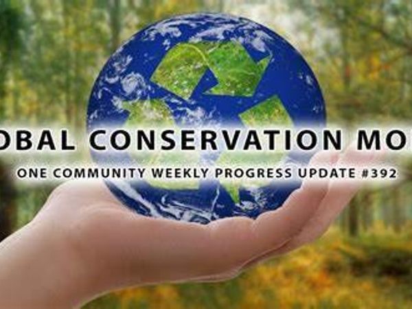 What is your favorite aspect of conservation work?