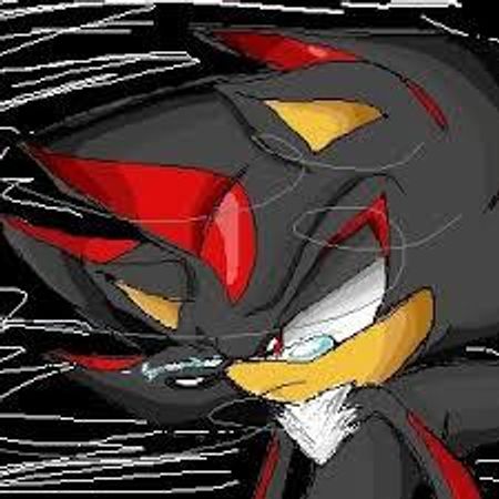 Me : Okay I... // Sonic : Milea, I think it's time for her to... you know what... // You : What? // Silver : No! She doesn't have to leave now! // Shadow : You'll miss me... // You : What are you talking about? // Me : Sorry '___'...  <<Your last memory was the one of Sonic, Silver, Shadow and me...>>