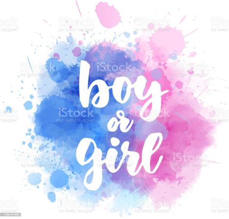 Are you a boy or girl?