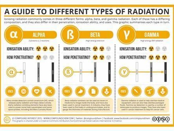 What is your instinctive reaction to danger?