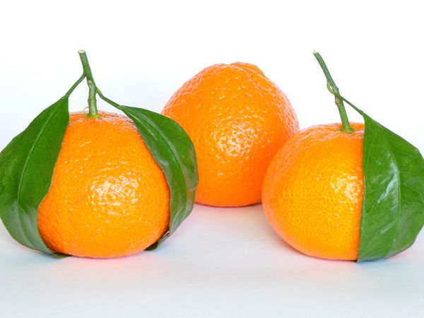 If you are presented with two orange food options, which one would you choose?