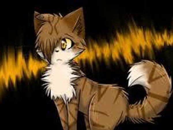 You jump onto/into the {insert what you chose last here}. Then you become dizzy and everything goes dark. You wake up and your in the middle of a whole bunch of cats. A cat with a bluish-gray colored coat comes up to you. Bluish-gray cat: I am Bluestar I welcome you to Thunderclan someone here has brought you here wanting to keep there indenty a secret they do not want me to tell you who they are.