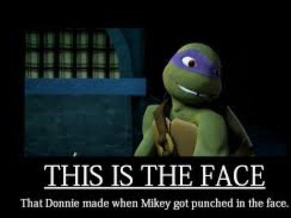 Would Donnie really make this face when Mikey gets punched in the face?