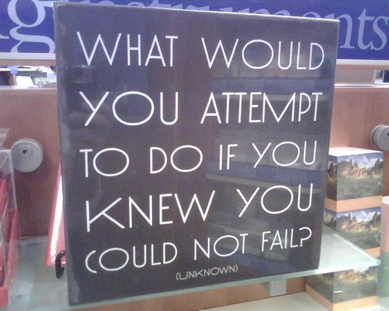 What would you do when you fail?