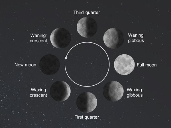 Which moon phase resonates with you the most?