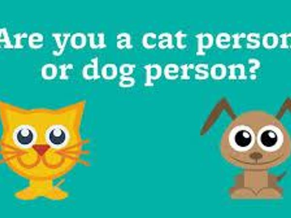 here's a very easy one. what do you like better, a cat or dog?