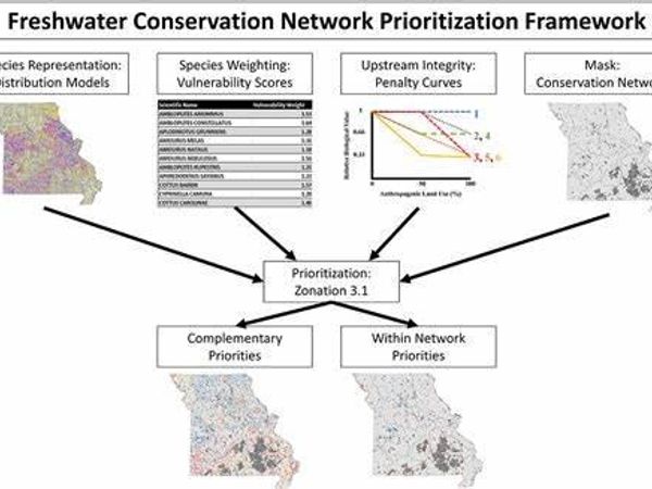 How do you prioritize tasks in a conservation project?