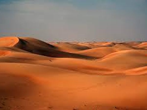 Despite what takes place, you escape the hand and run out the bathroom door. You appear in a desert plain. When you turn around to face the door you came through, it has disappeared. What is your initial reaction?