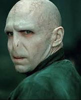 Voldy Is Moldy