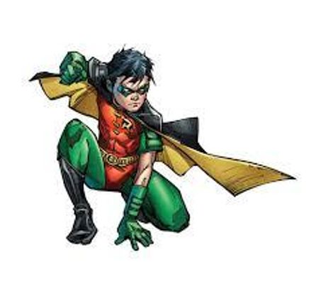 are you a robin fan?