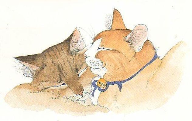 Who do you ship in Warrior cats?