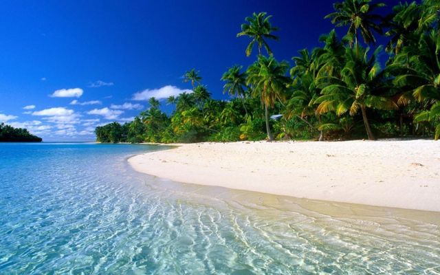 Stranded FOREVER on a deserted island, what would you prefer? Without the possibility to change afterwards