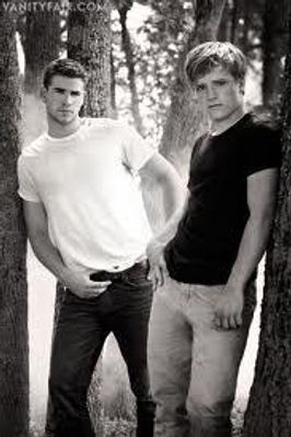 In the Hunger Games, who is better- Peeta or Gale?