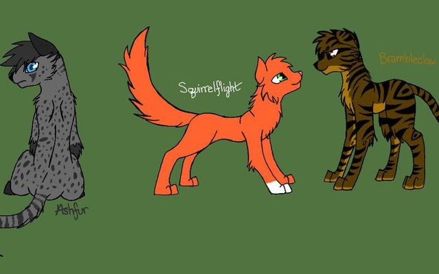 Which TomCat makes the better match for Squirrelflight?